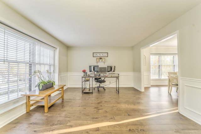 office space with wood-type flooring