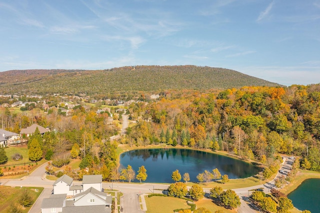 8556 Festival Loop, Chattanooga, TN 37419 - aerial view of a water and mountain view and a forest