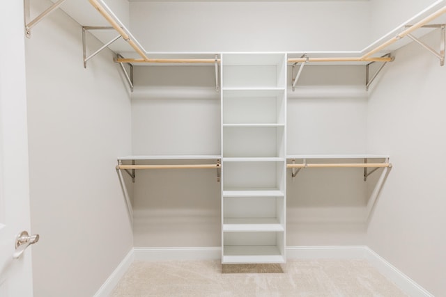 spacious closet with carpet flooring