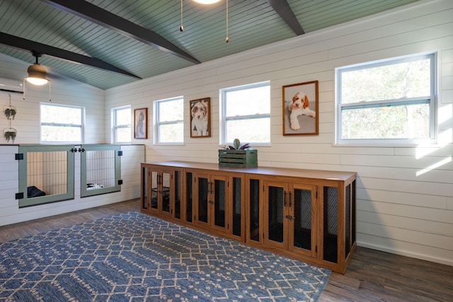 living area featuring vaulted ceiling with beams, wood walls, wooden ceiling, dark wood-type flooring, and ceiling fan