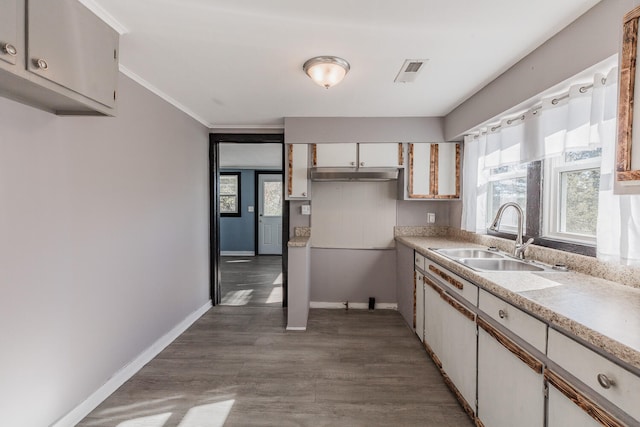 kitchen featuring white cabinets, wood-type flooring, sink, and crown molding