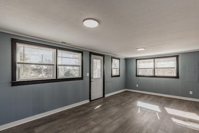 foyer entrance featuring a wealth of natural light, a textured ceiling, and dark hardwood / wood-style floors