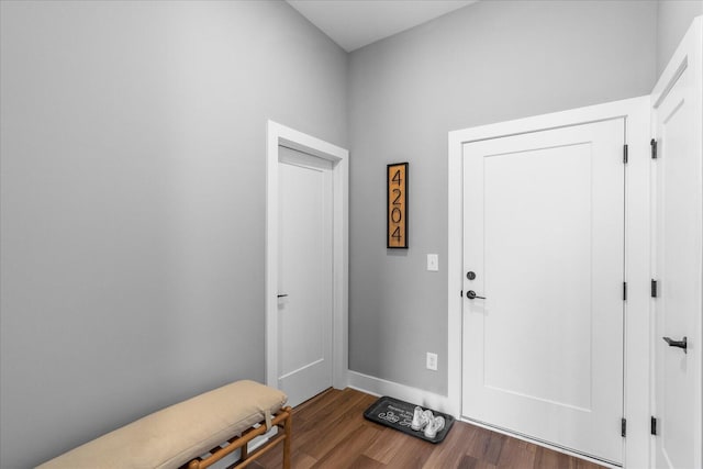 entryway featuring dark wood-type flooring