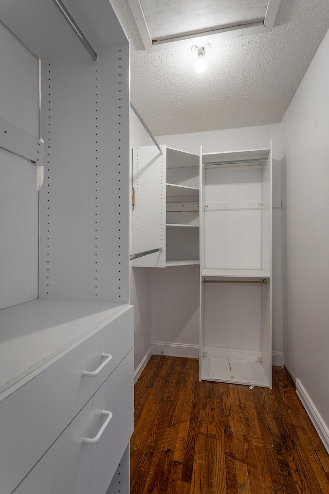 spacious closet with dark hardwood / wood-style floors