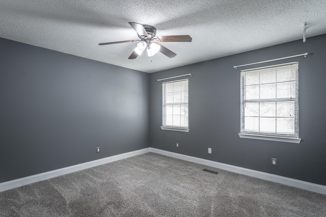 empty room featuring carpet flooring, a wealth of natural light, and a textured ceiling