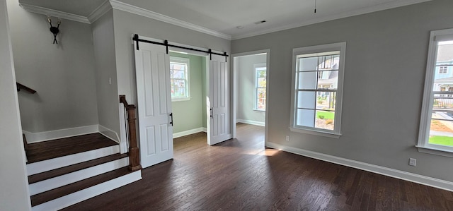 empty room with a barn door, plenty of natural light, dark hardwood / wood-style flooring, and ornamental molding