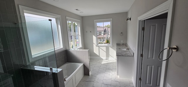 bathroom with vanity and separate shower and tub