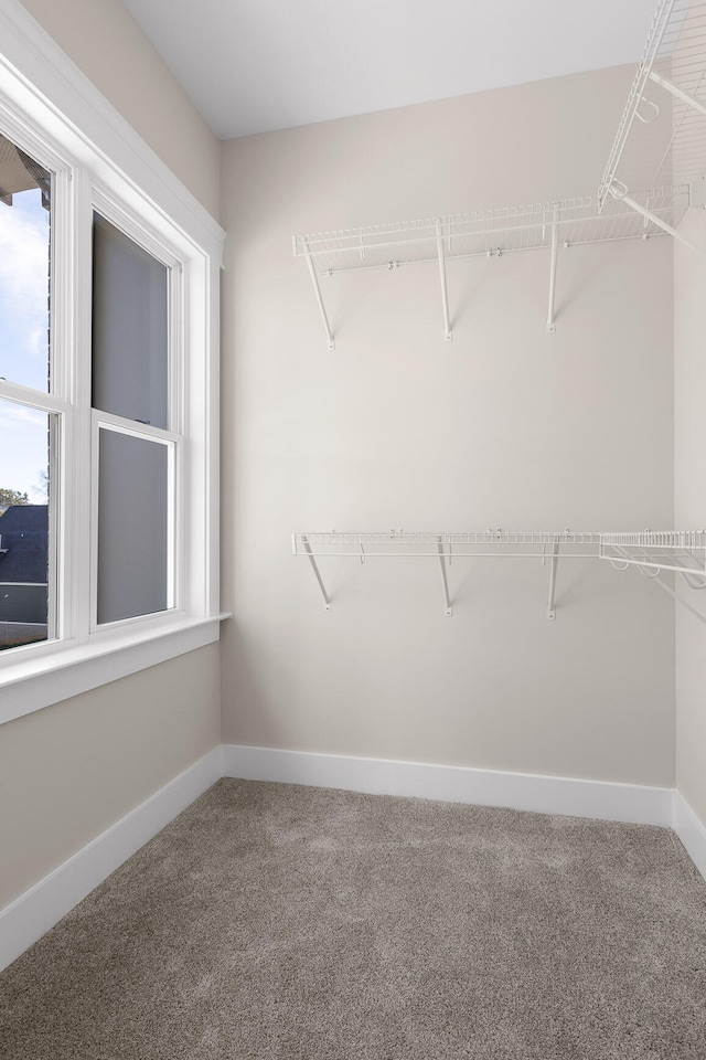 spacious closet with carpet floors