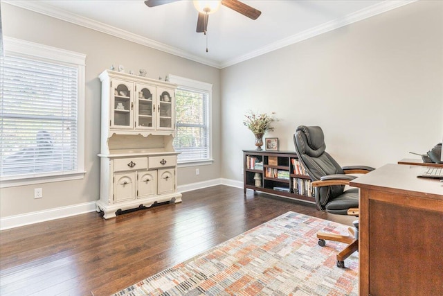 office space featuring ceiling fan, dark wood-type flooring, and ornamental molding