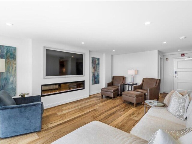 living room with light hardwood / wood-style floors