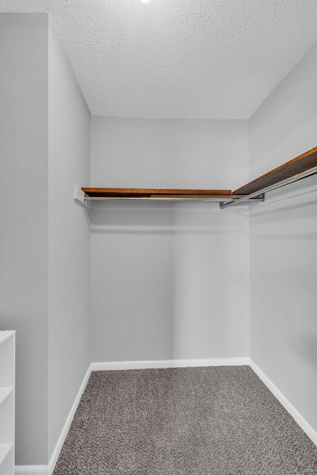 walk in closet featuring carpet