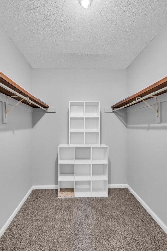 spacious closet with carpet floors