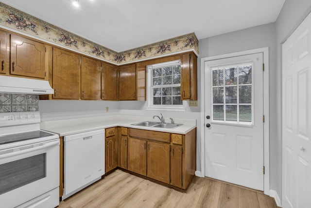 kitchen with light wood-type flooring, white appliances, and sink