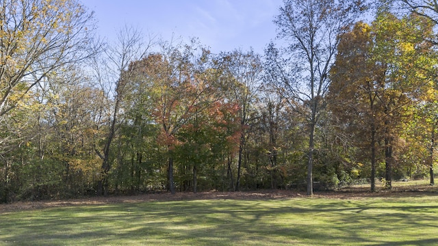 145 County Road 573, Englewood, TN 37329 - view of green lawn with a view of trees