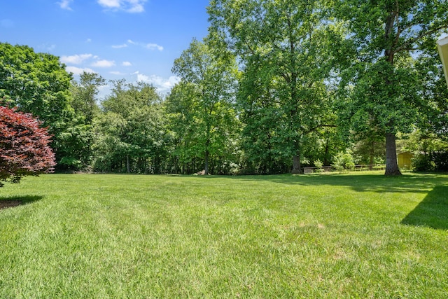 145 County Road 573, Englewood, TN 37329 - view of grassy yard