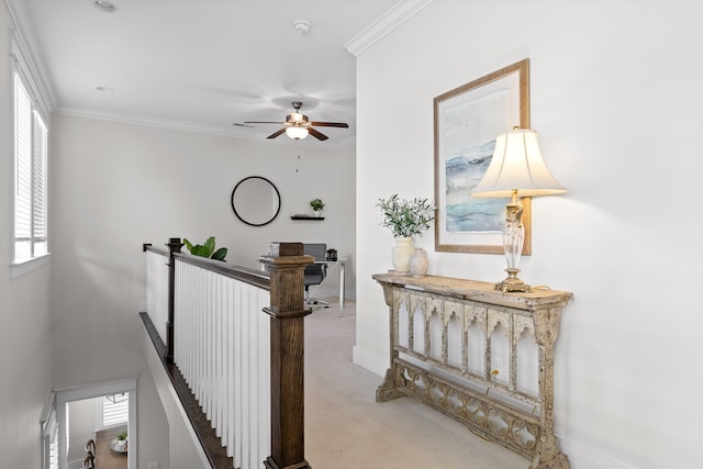 corridor featuring light carpet and crown molding