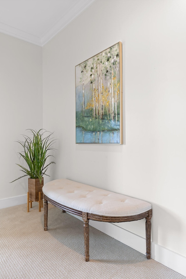 sitting room with carpet flooring and crown molding