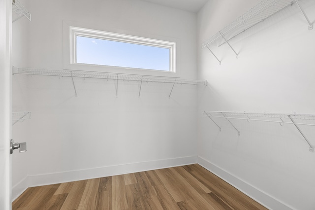 spacious closet with wood-type flooring