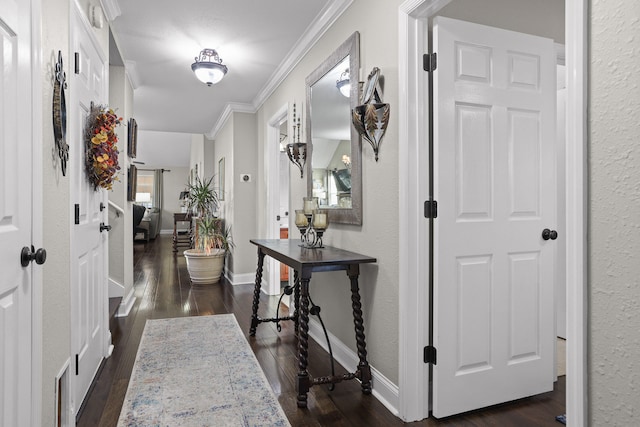 hallway with dark hardwood / wood-style flooring and ornamental molding