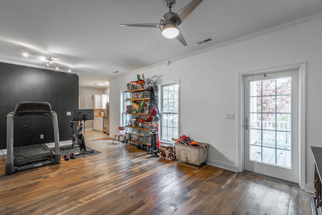 exercise area featuring hardwood / wood-style floors, ceiling fan, and ornamental molding