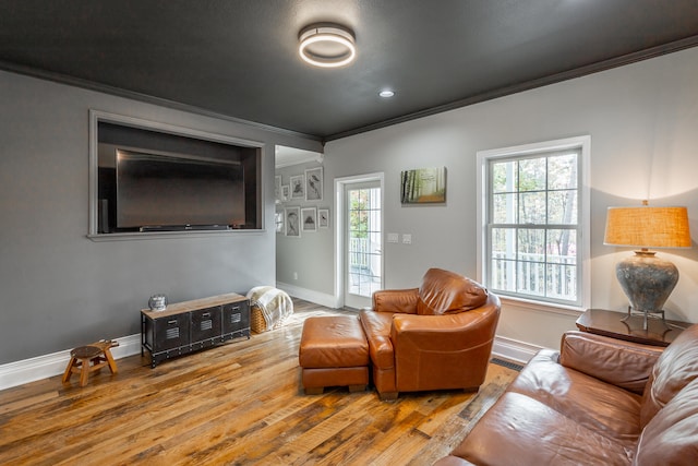 living room with wood-type flooring and crown molding