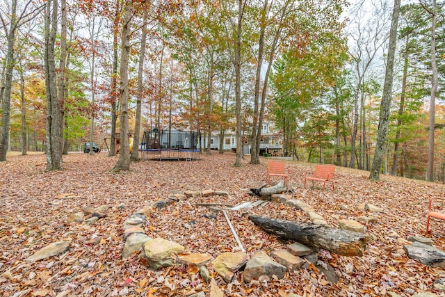 view of yard with a trampoline