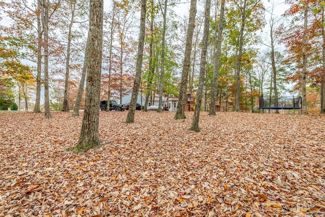 view of yard featuring a trampoline