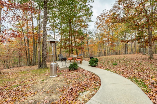 view of community with a patio