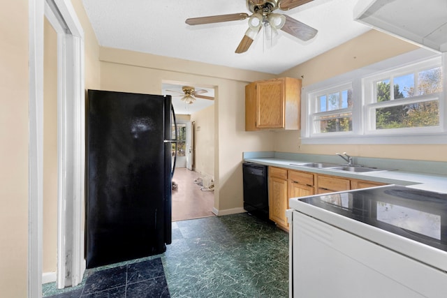 kitchen featuring light brown cabinets, sink, ceiling fan, and black appliances