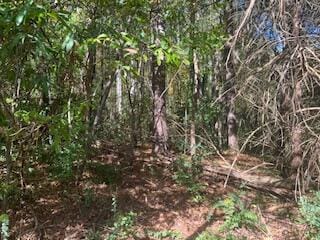 0 Ryman Ridge Rd, Dalton, GA 30720