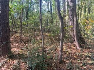 0 Ryman Ridge Rd, Dalton, GA 30720