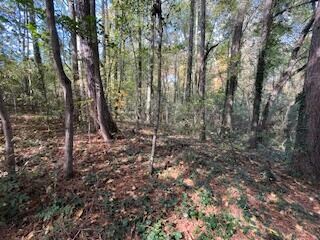 0 Ryman Ridge Rd, Dalton, GA 30720
