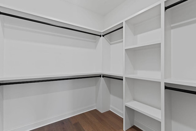 spacious closet with dark hardwood / wood-style flooring