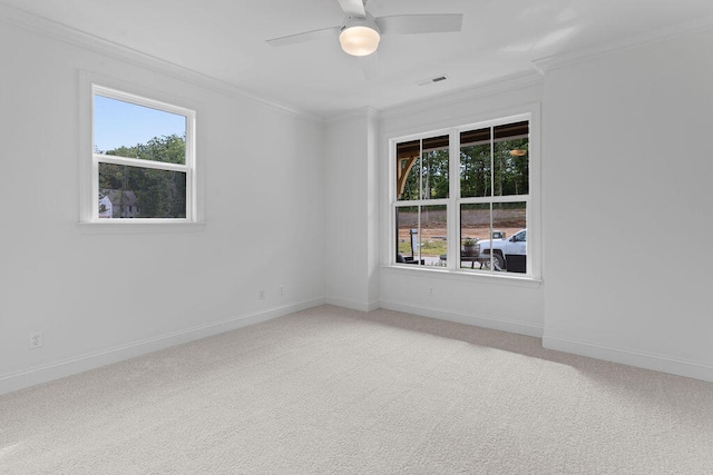 carpeted spare room with ceiling fan and crown molding