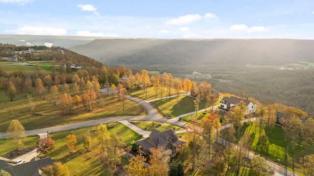 drone / aerial view featuring a mountain view