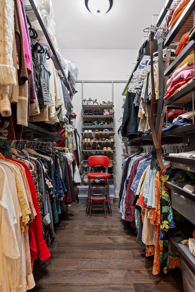 spacious closet featuring dark wood-type flooring