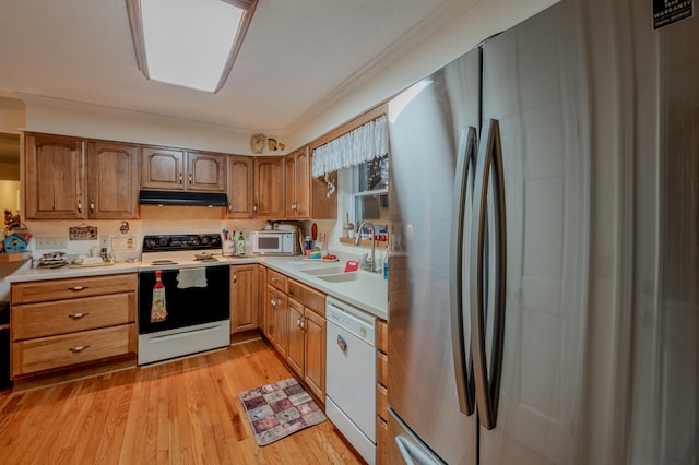 kitchen with light hardwood / wood-style floors, white appliances, and sink