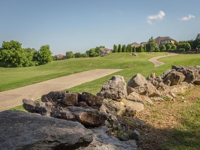 view of property's community with a yard