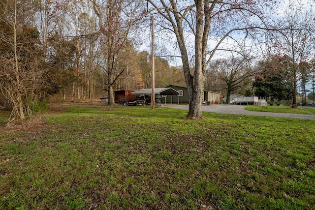 view of yard featuring a carport