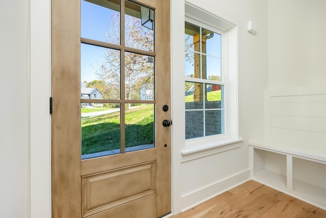 doorway with hardwood / wood-style flooring and a healthy amount of sunlight