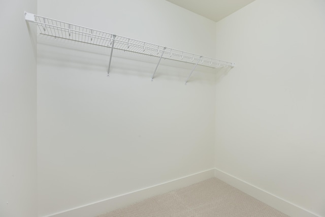 walk in closet featuring carpet flooring