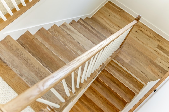 staircase with wood-type flooring