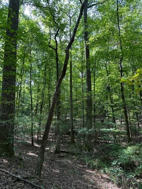 Listing photo 2 for TRACT1 Eagle Rock Rd Unit 1, Monteagle TN 37356