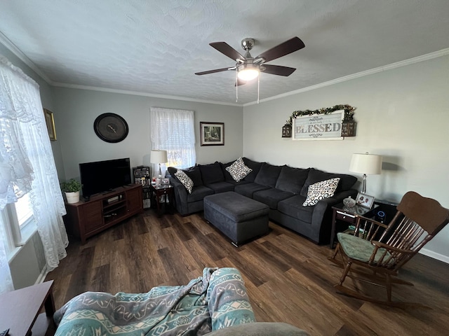 living room with a textured ceiling, ceiling fan, ornamental molding, and dark wood-type flooring