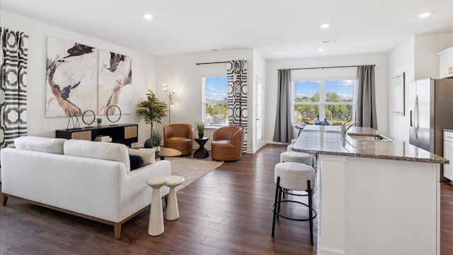 living room featuring sink and dark hardwood / wood-style floors