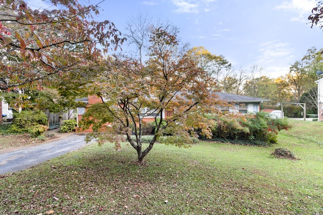 view of front of property featuring a front yard