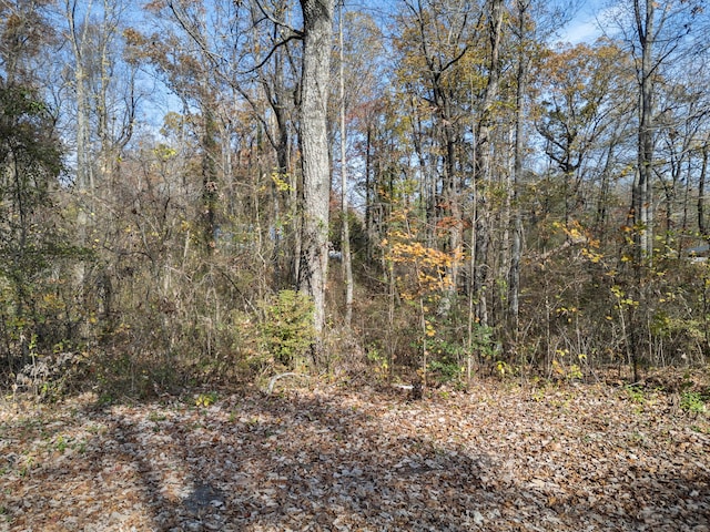 Listing photo 2 for 0 Miles Rd, Signal Mountain TN 37377