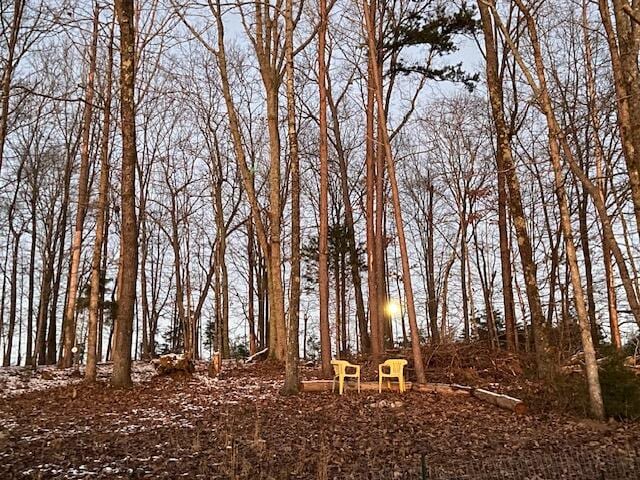 view of local wilderness