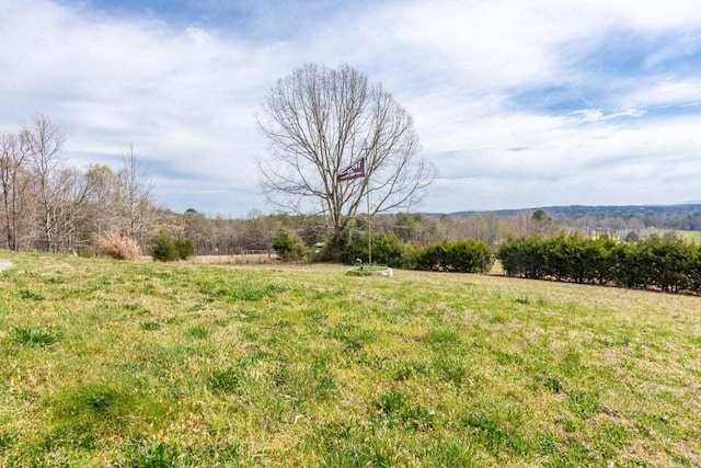 view of yard featuring a rural view