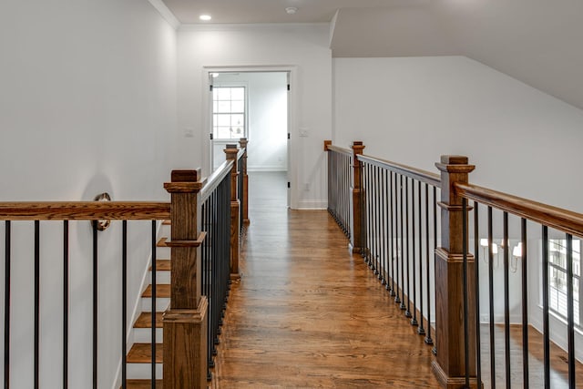 hall featuring hardwood / wood-style floors and ornamental molding